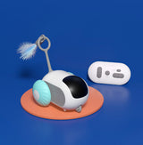Interactive Cat Car