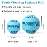 Interactive Dog Treat Ball – Bite-Resistant Chew & Slow Feeder Toy for Small & Medium Dogs